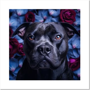 Black Staffy Posters and Art